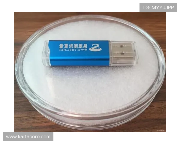 K8凯发手机官网最新版本下载及使用指南,全面解析平台功能与安全保障 K8凯发手机官网最新版本下载及使用指南,全面解析平台功能与安全保障