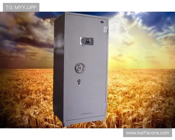 k8凯发网址最新安全登录入口推荐，确保玩家游戏体验零风险